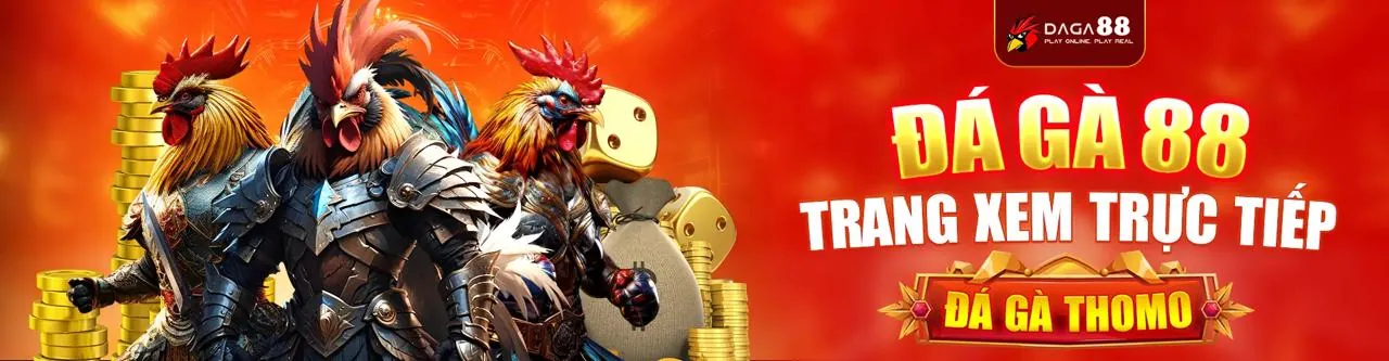 Đá gà trực tuyến tại sa88 chính thức với không khí sôi động